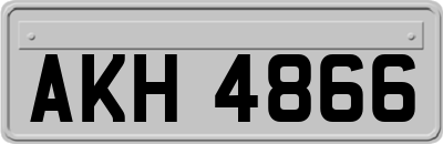 AKH4866