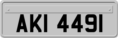 AKI4491