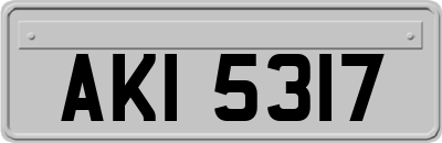 AKI5317