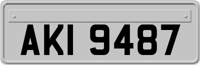 AKI9487