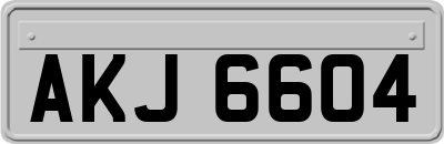 AKJ6604