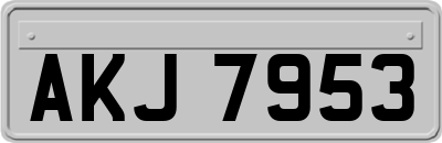 AKJ7953