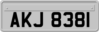 AKJ8381