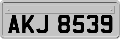 AKJ8539