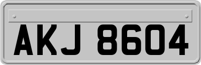AKJ8604