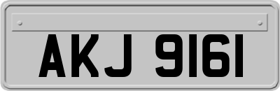 AKJ9161