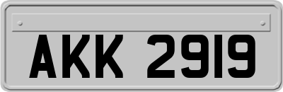 AKK2919