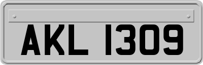 AKL1309