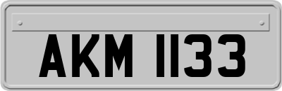 AKM1133
