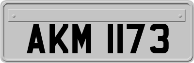 AKM1173