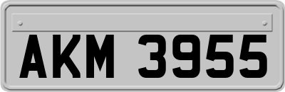 AKM3955