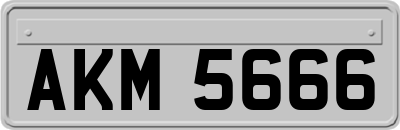 AKM5666