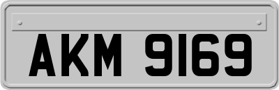 AKM9169