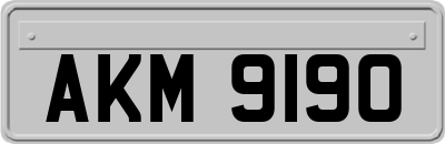 AKM9190