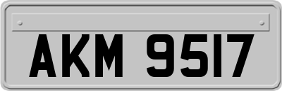 AKM9517