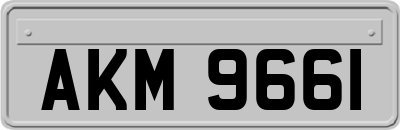 AKM9661