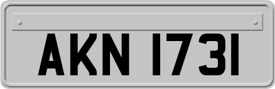 AKN1731