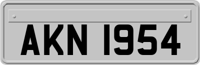 AKN1954