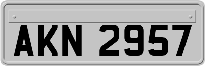 AKN2957