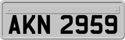 AKN2959