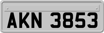 AKN3853