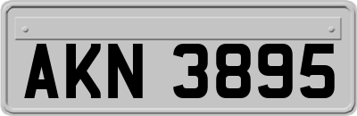 AKN3895