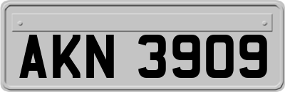 AKN3909