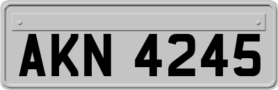 AKN4245
