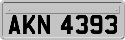 AKN4393