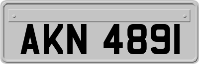 AKN4891