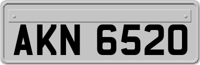 AKN6520
