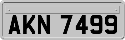AKN7499