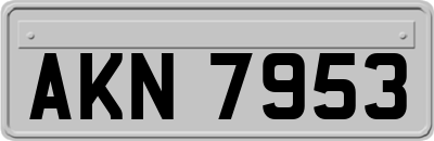 AKN7953