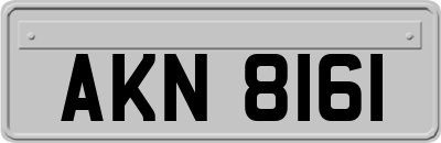 AKN8161
