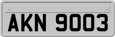 AKN9003