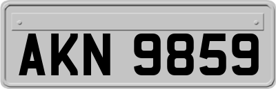 AKN9859