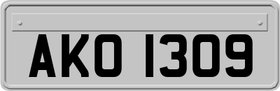 AKO1309