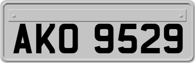 AKO9529