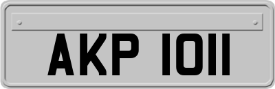 AKP1011