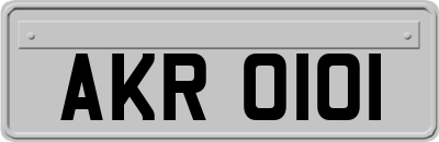 AKR0101
