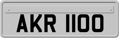 AKR1100