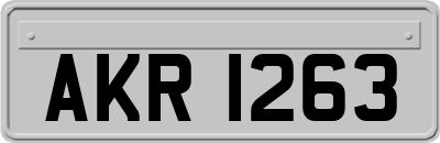AKR1263