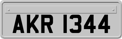 AKR1344