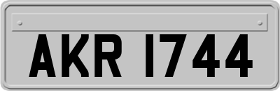 AKR1744