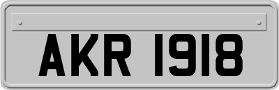AKR1918