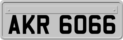 AKR6066