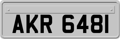 AKR6481