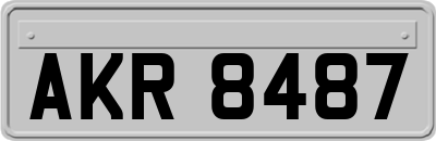 AKR8487