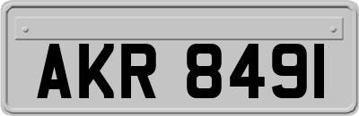 AKR8491