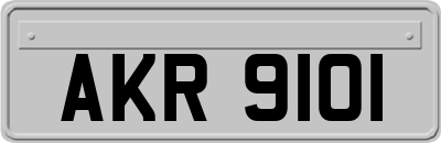 AKR9101